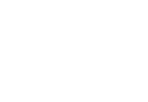 WNZ_Logo_APW + Poneke_Rev